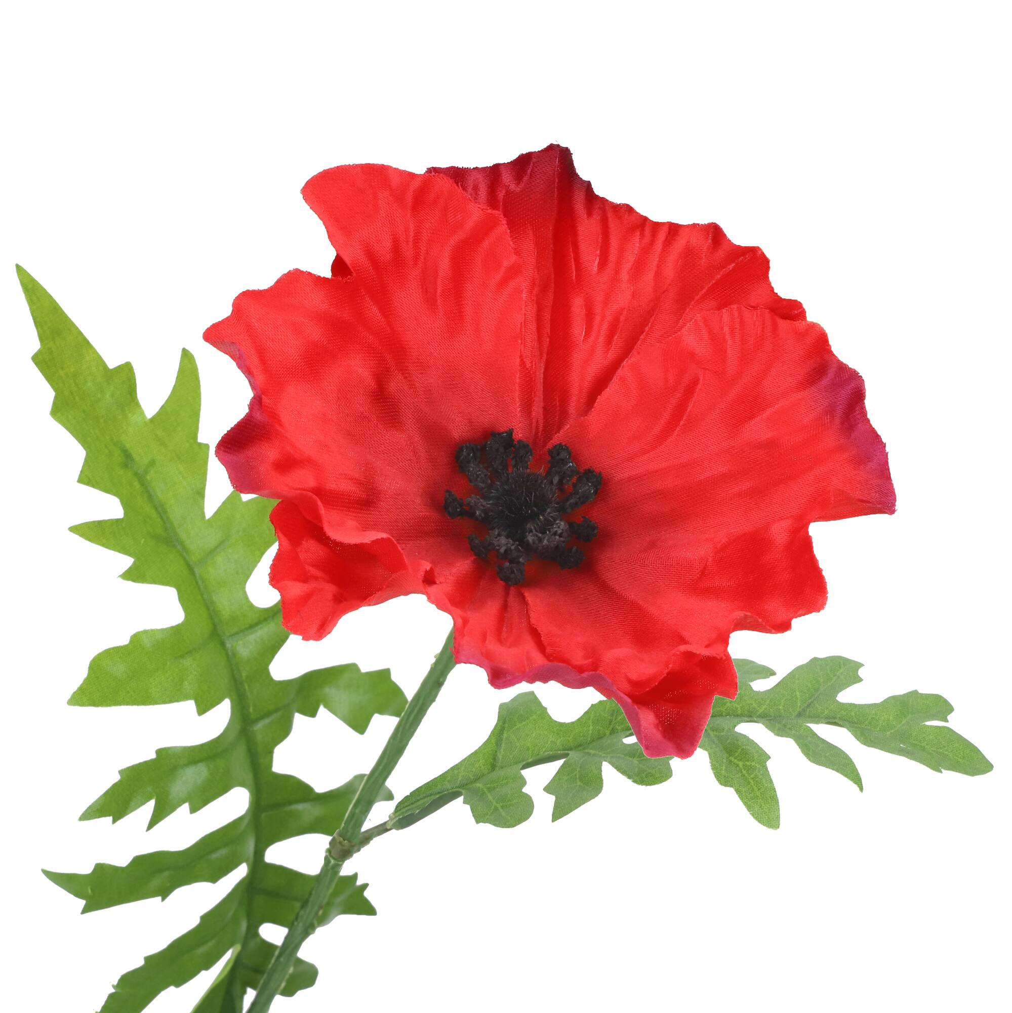 20" Red Poppy Bush by Ashland®